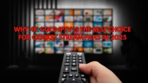 Read more about the article Cricket Stream: Why 4K Gold IPTV Is the Top Choice for Fans